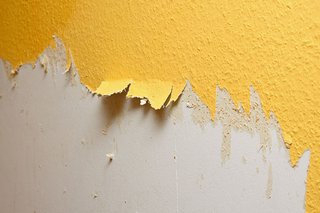 Baugutachter Thomas Gügel hilft bei optischen Schäden Zerrissene Tapete